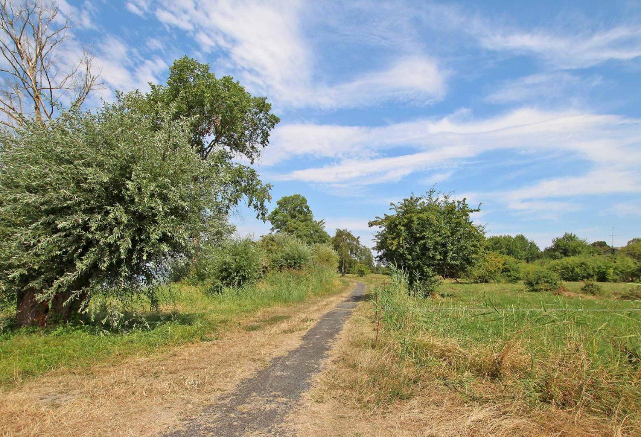 Ferienhof Rechlin See 2030 Zewnętrze zdjęcie